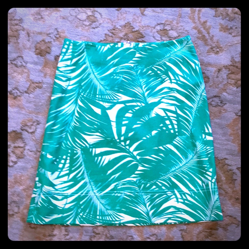 Talbots skirt petite